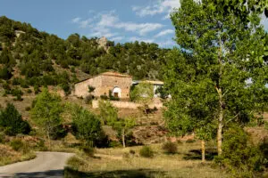 Baronía de Escriche
