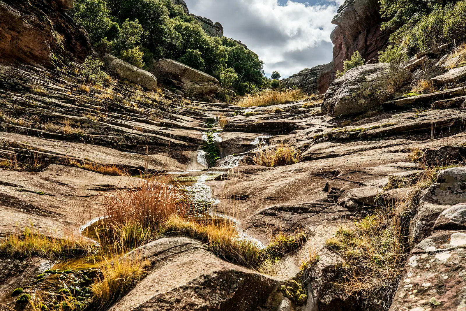 1 4. Sendero del Barranco Cardoso (Almohaja)