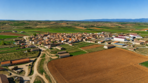 Celadas