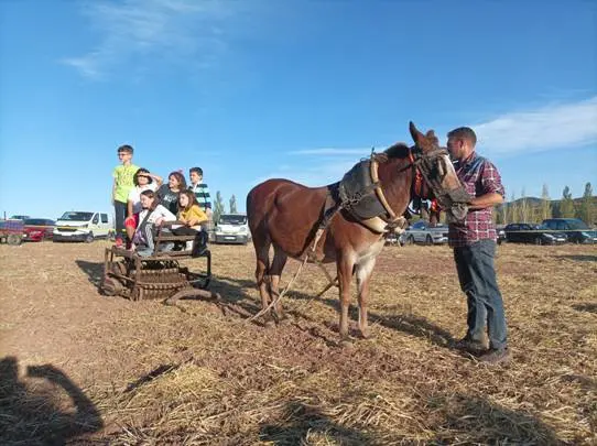 1 Feria de Cedrillas. Agrícola, Ganadera, Industrial y Forestal