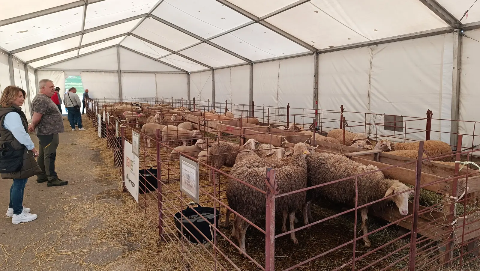 1 Feria Agrícola y Ganadera San Isidro