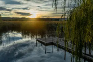 Laguna del Cañizar