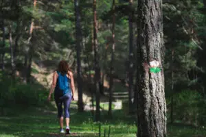 7. Sendero del Nacimiento del Río Mijares (Cedrillas)