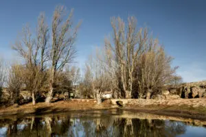 Fuentes Calientes - Villalba