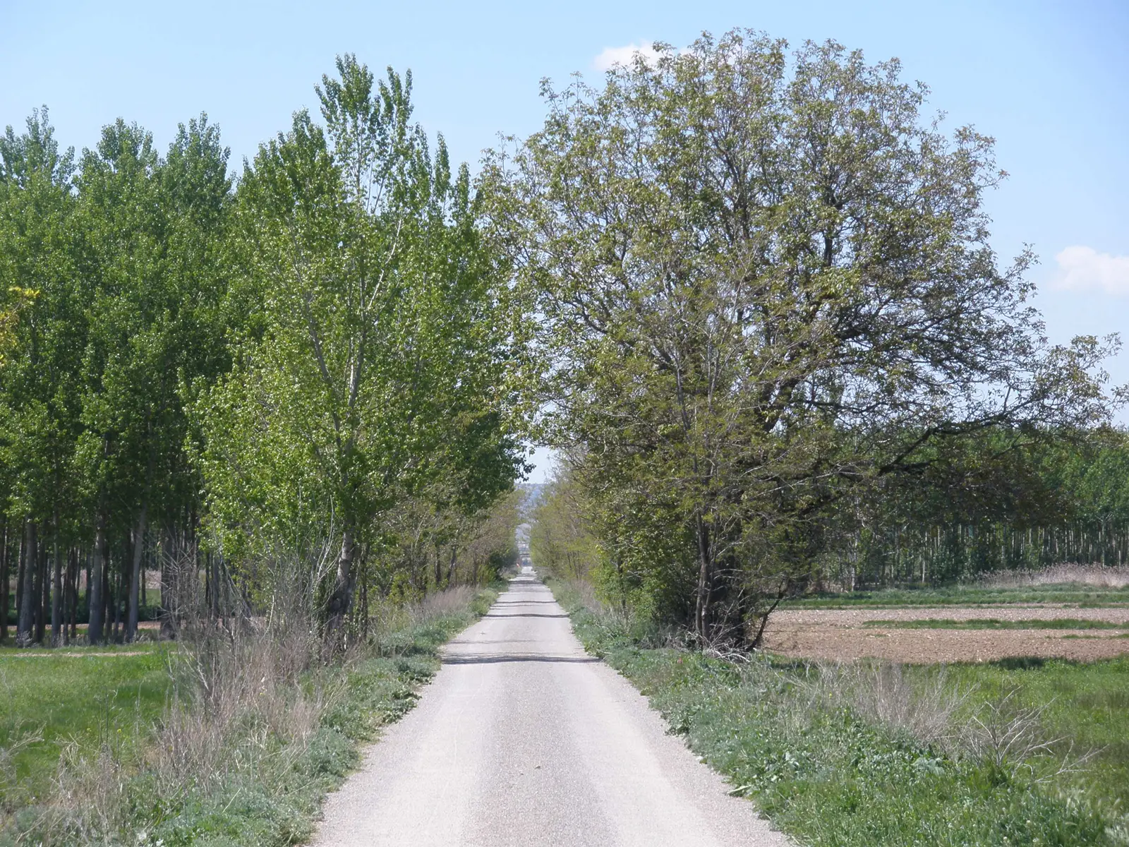 1Santa Eulalia – Teruel