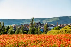 Riodeva