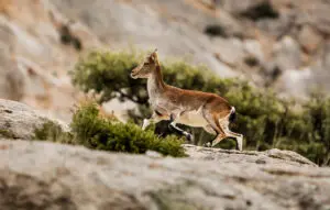 Naturaleza
