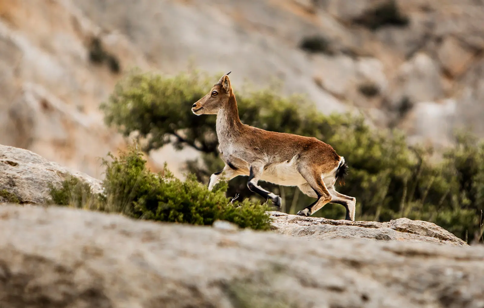Imagen Naturaleza