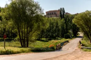16. Sendero de los Alcamines (Alfambra - Galve)