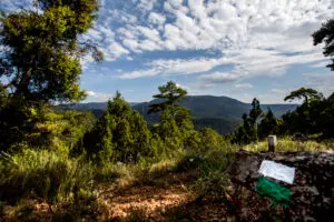 12. Sendero del Alto de la Molina (Cubla)