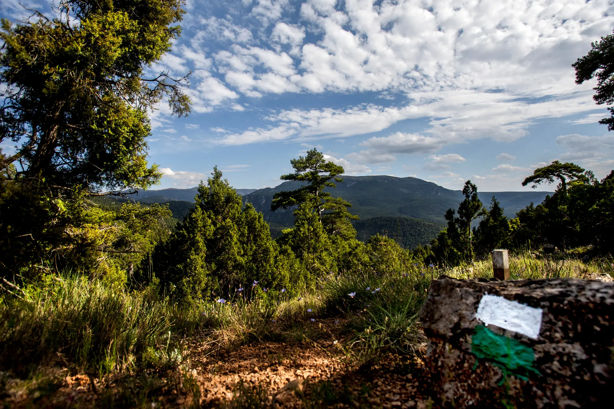 1 12. Sendero del Alto de la Molina (Cubla)