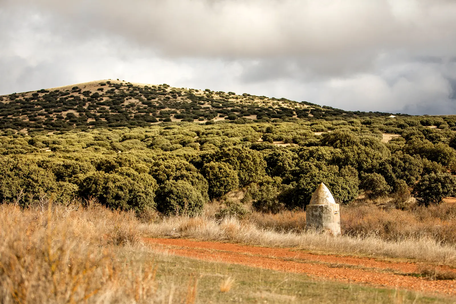 1 6. Sendero de El Carrascal (Lidón)
