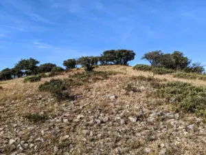 Trincheras de Cerro Montero