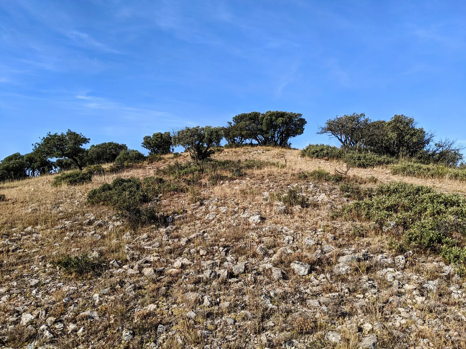 1 Trincheras de Cerro Montero