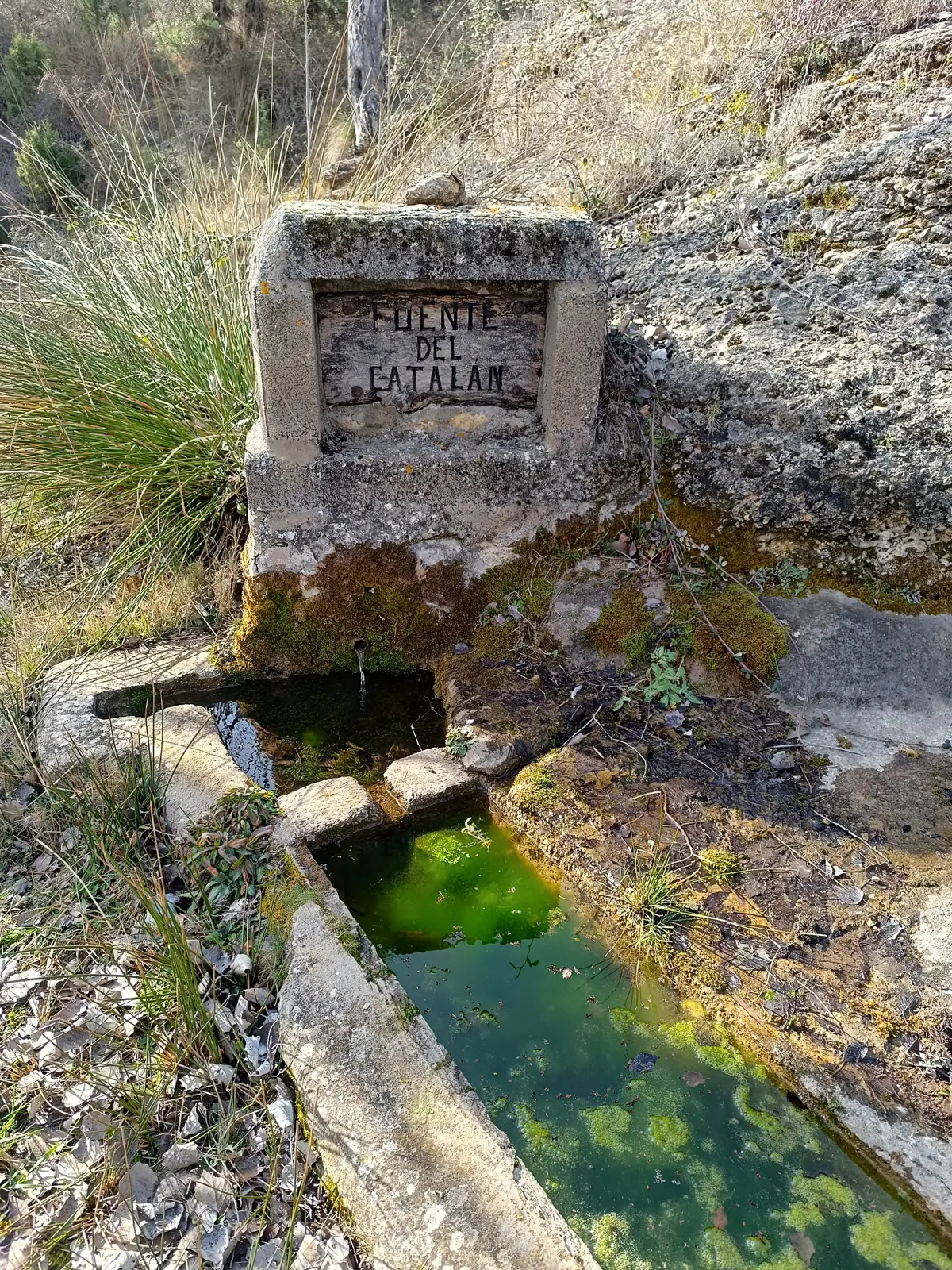 1 Merendero municipal de la Fuente del Catalán