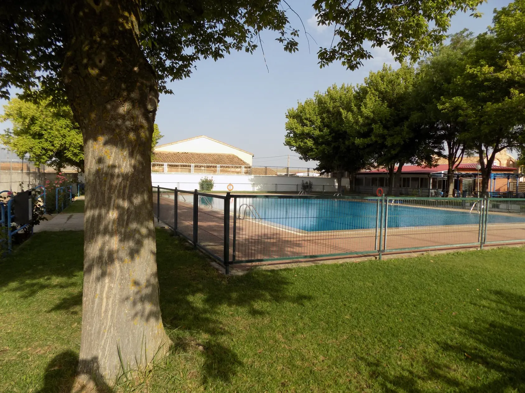 1 Piscinas municipal