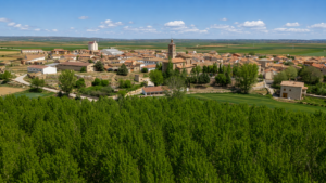 Perales del Alfambra
