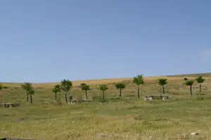 Merendero de la Fuente la Sierra