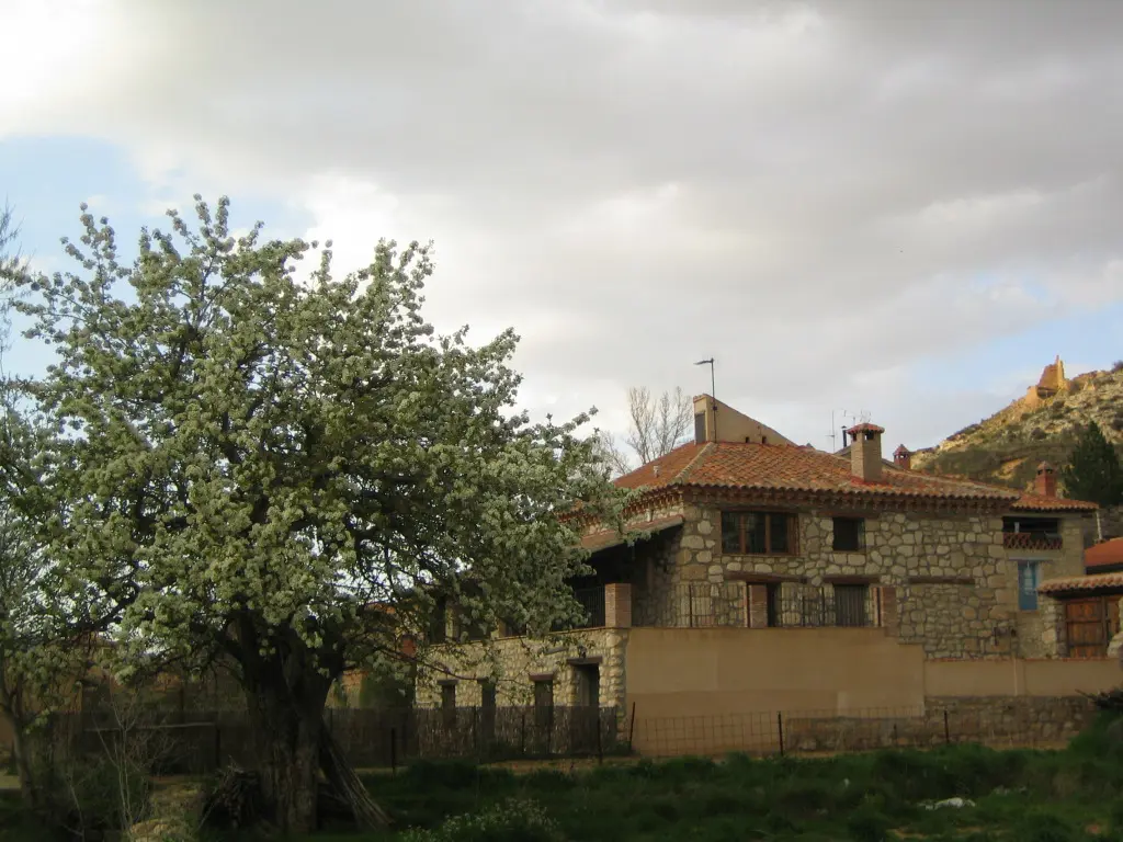 1 Casa Rural “El Regajo”