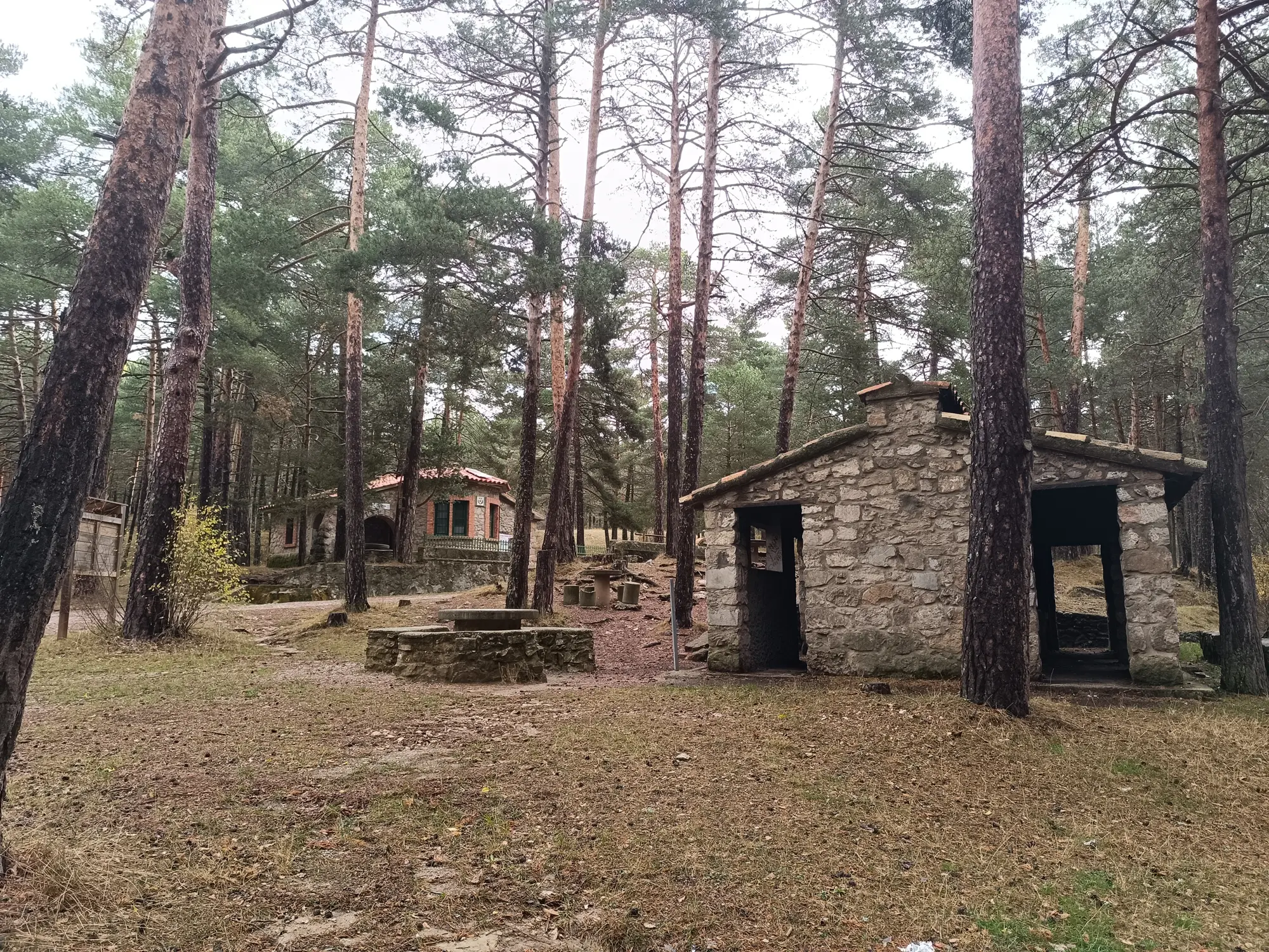 1 Merendero municipal El Pinar / Mijares