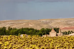Merendero municipal La Virgen del Campo