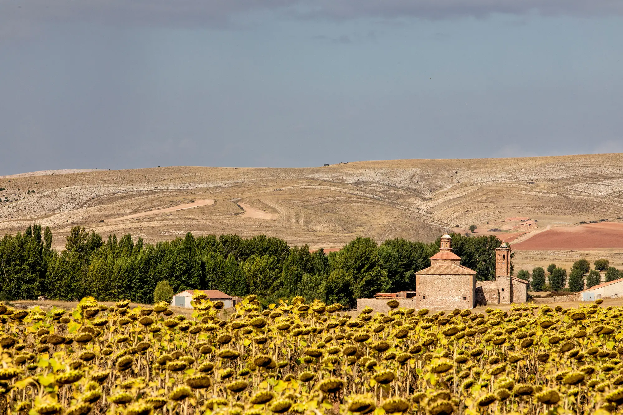 1 Merendero municipal La Virgen del Campo