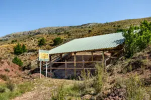 Icnitas de los Corrales del Pelejón