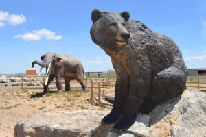El Safari por la Sabana del Turoliense
