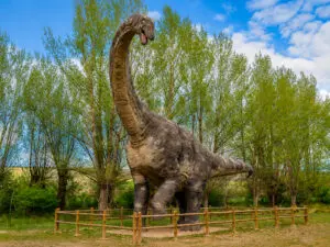 Dinoexperience