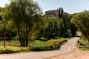 16. Sendero de los Alcamines (Alfambra - Galve)