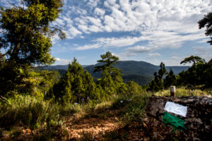 12. Sendero del Alto de la Molina (Cubla)