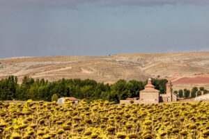 Merendero municipal La Virgen del Campo