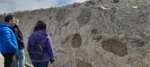 Los dinosaurios de Ababuj, protagonistas de una Paleoguía de la Fundación Dinópolis